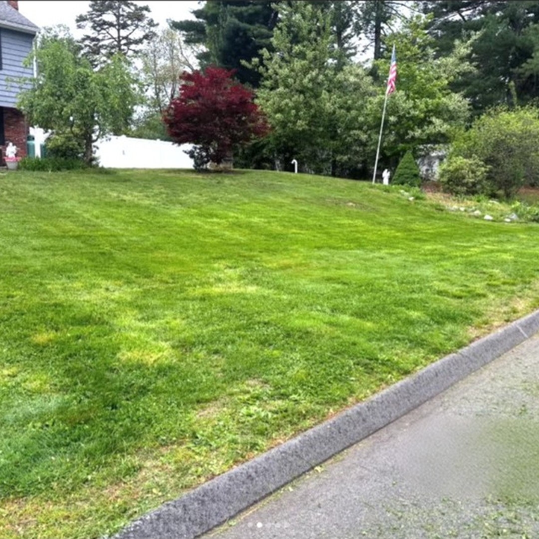 Freshly mowed lawn